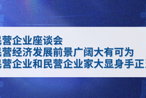 民营经济发展前景广阔大有可为 民营企业和民营企业家大显身手正当其时