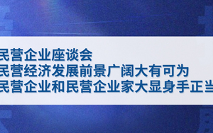 民营经济发展前景广阔大有可为 民营企业和民营企业家大显身手正当其时